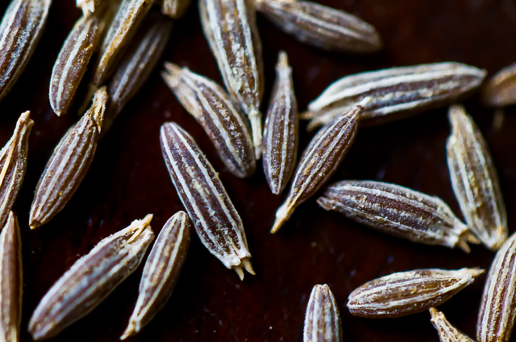 Cumin Seeds wholesale product name text; no product image requested