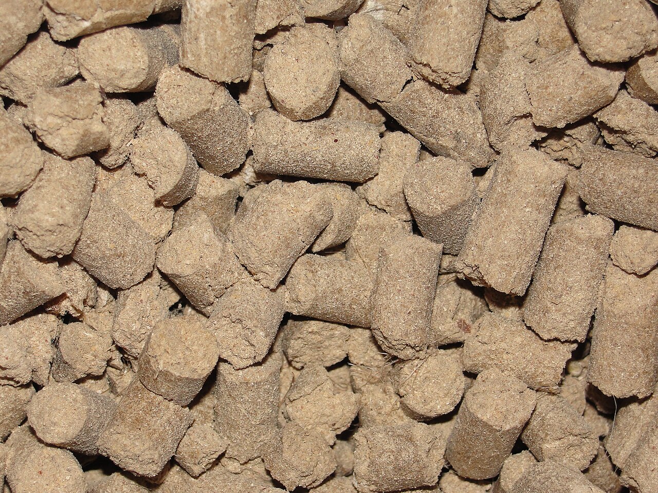 Dairy Cattle Concentrate Feed Wholesale pack for wholesale and international export