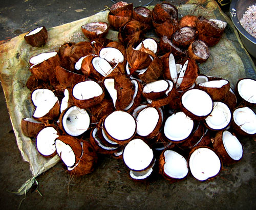 Desiccated Coconut