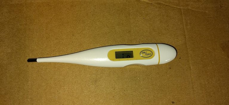 Digital Thermometers Wholesale