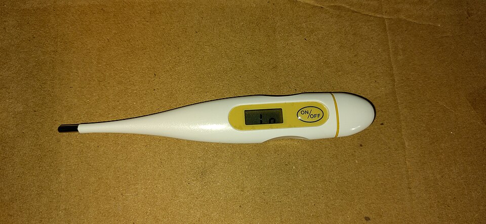 Digital Thermometers Wholesale