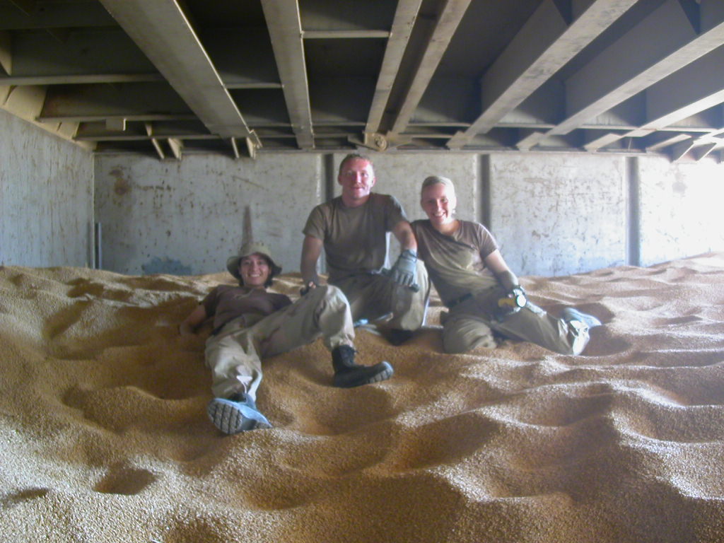 Distillers Dried Grains with Solubles DDGS Wholesale