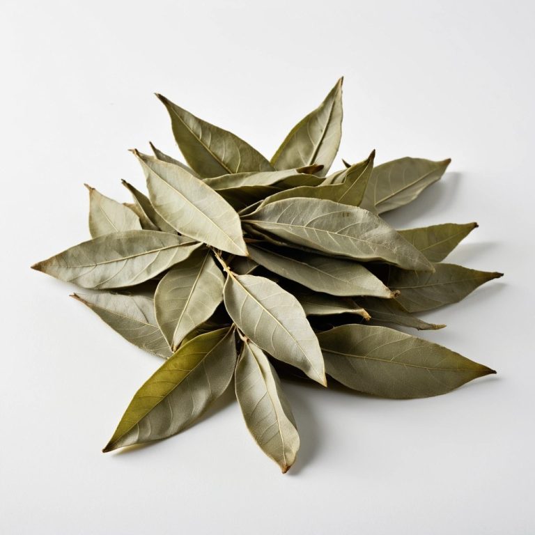 Dried Bay Leaves Wholesale
