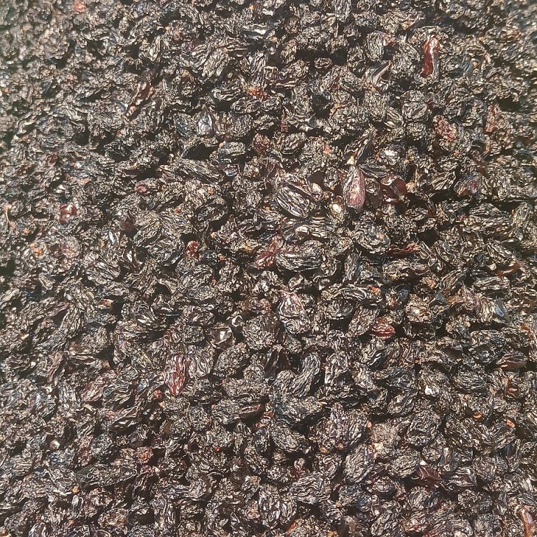 Dried Blueberries Wholesale