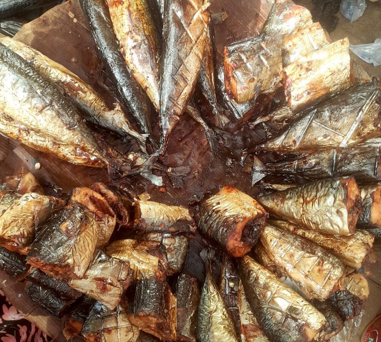 Dried Bonga Fish Shawa Smoked Shad Wholesale