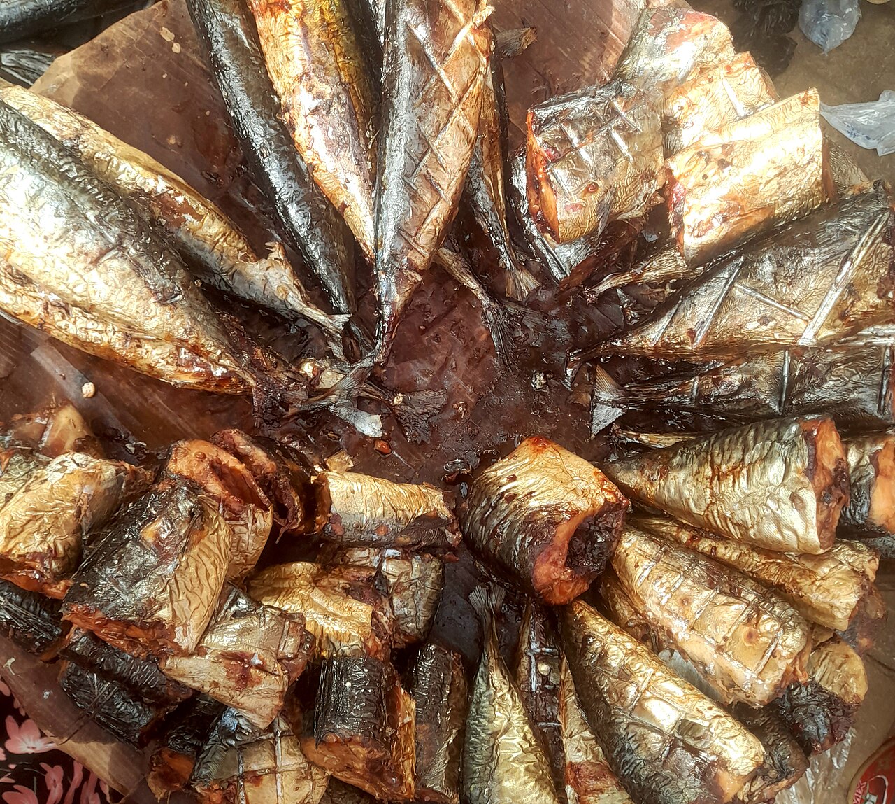 Dried Bonga Fish Shawa Smoked Shad Wholesale