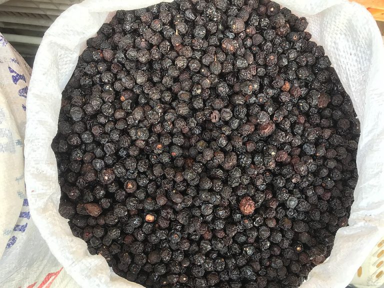 Dried Cherries Wholesale
