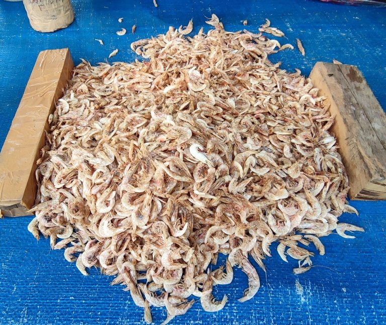Dried Crayfish Whole and Ground Wholesale