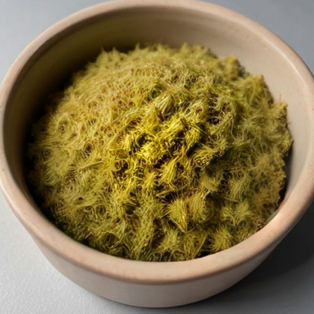 Dried Dill Weed Wholesale