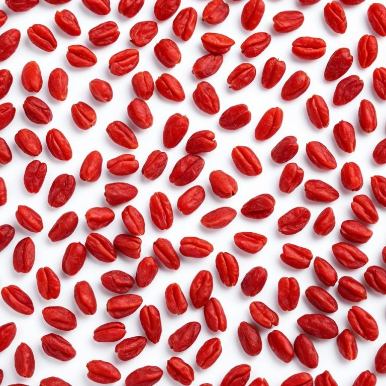 Dried Goji Berries Wholesale