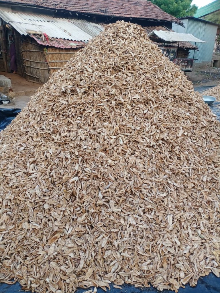 Dried Mango Wholesale