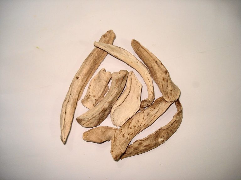 Dried Mango Wholesale