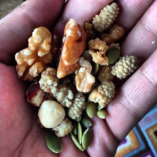 Dried Mulberries