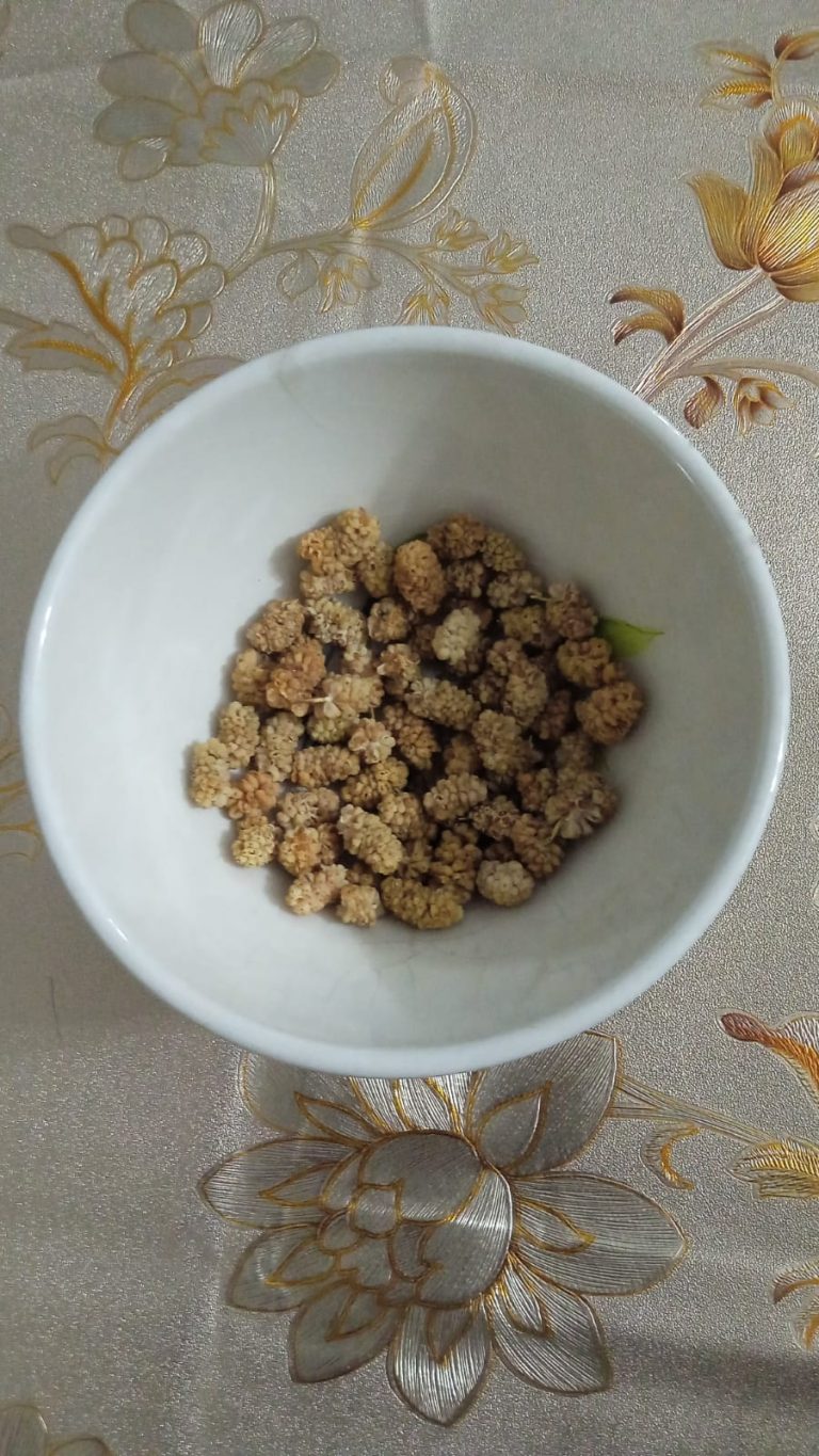 Dried Mulberries Wholesale