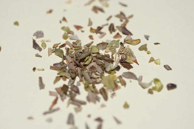 Dried Oregano Wholesale | Bulk B2B Supply