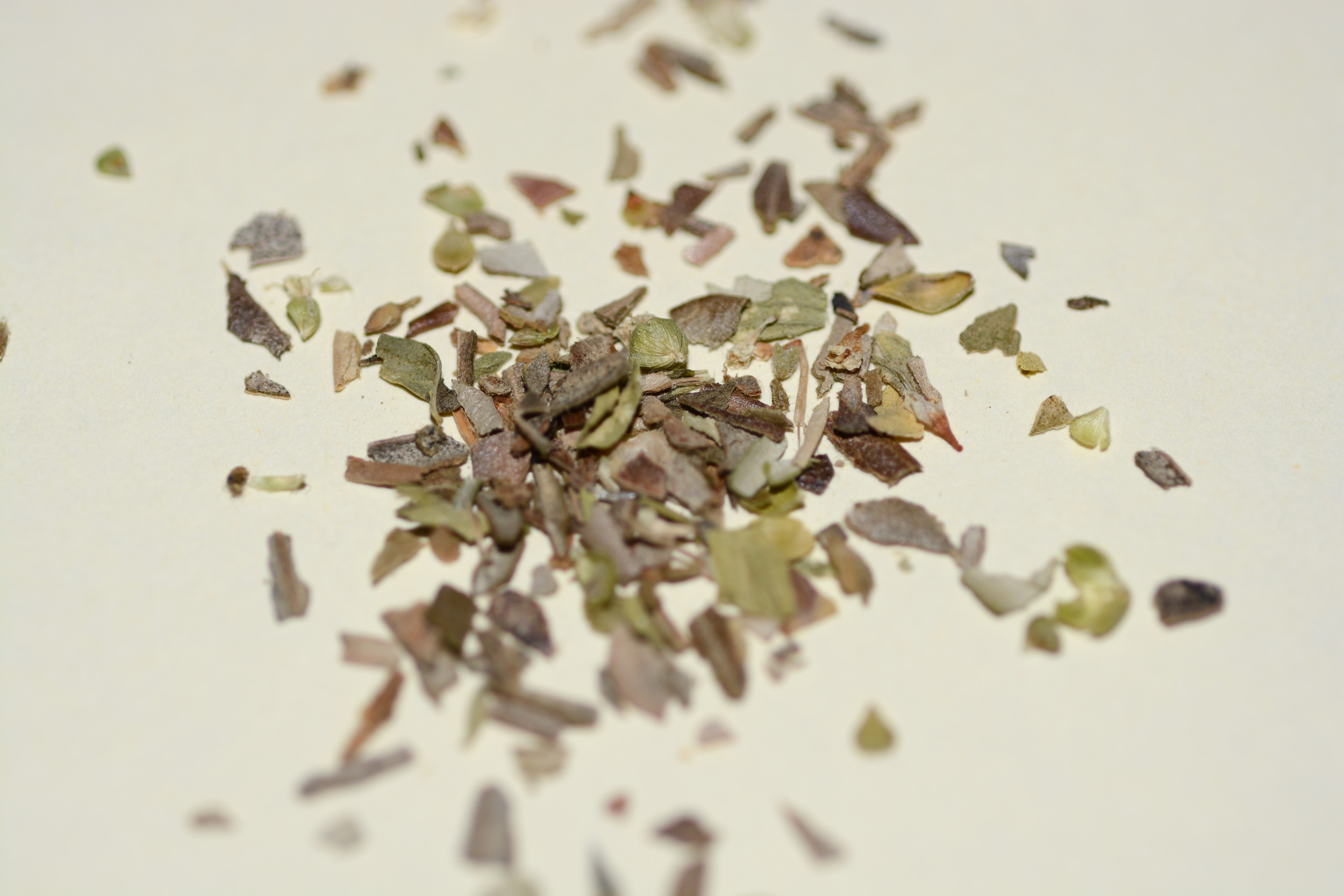 Dried Oregano wholesale product name text; no product image requested
