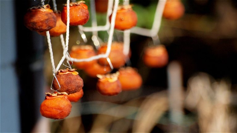 Dried Persimmon Wholesale | Bulk B2B Supply