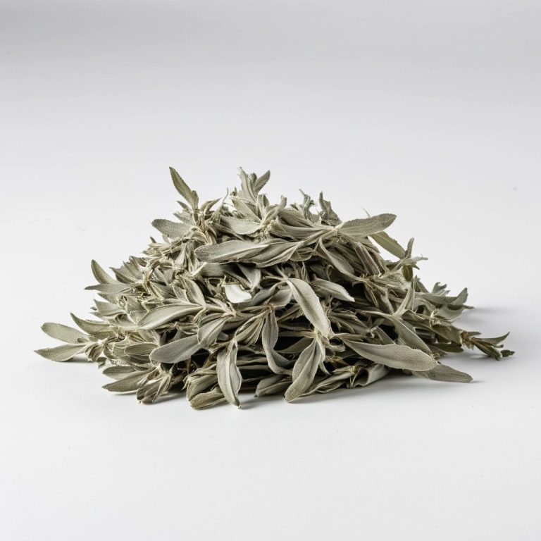 Dried Sage Wholesale
