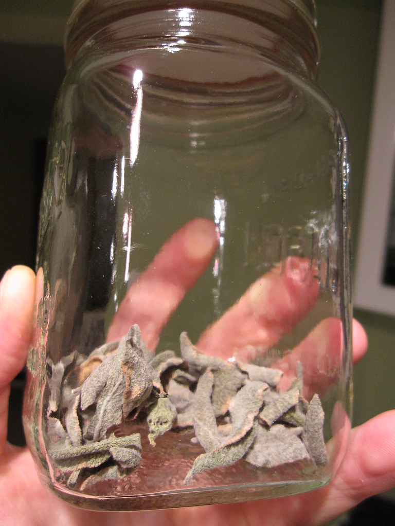 Dried Sage Wholesale | Bulk B2B Supply