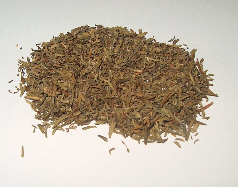 Dried Thyme Wholesale