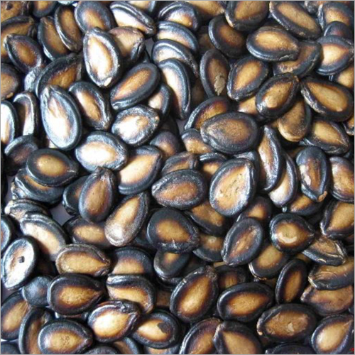 Dried Watermelon Seeds Wholesale