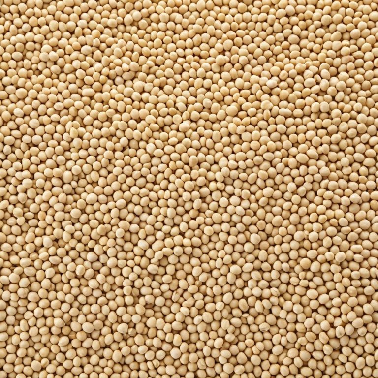 Dry Soybeans Wholesale