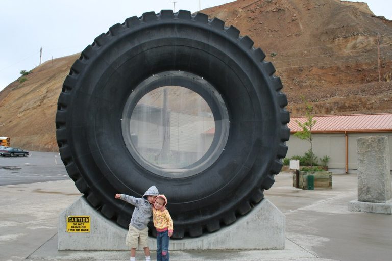 Dunlop Truck and Bus Radial Tires Wholesale