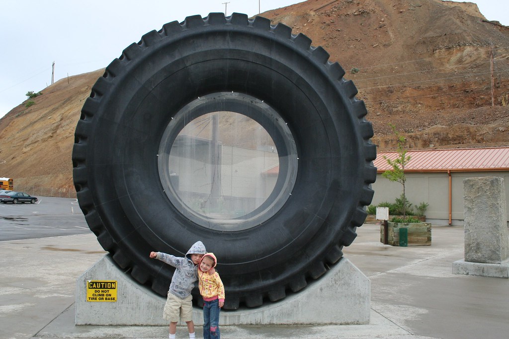 Dunlop Truck and Bus Radial Tires Wholesale pack for wholesale and international export