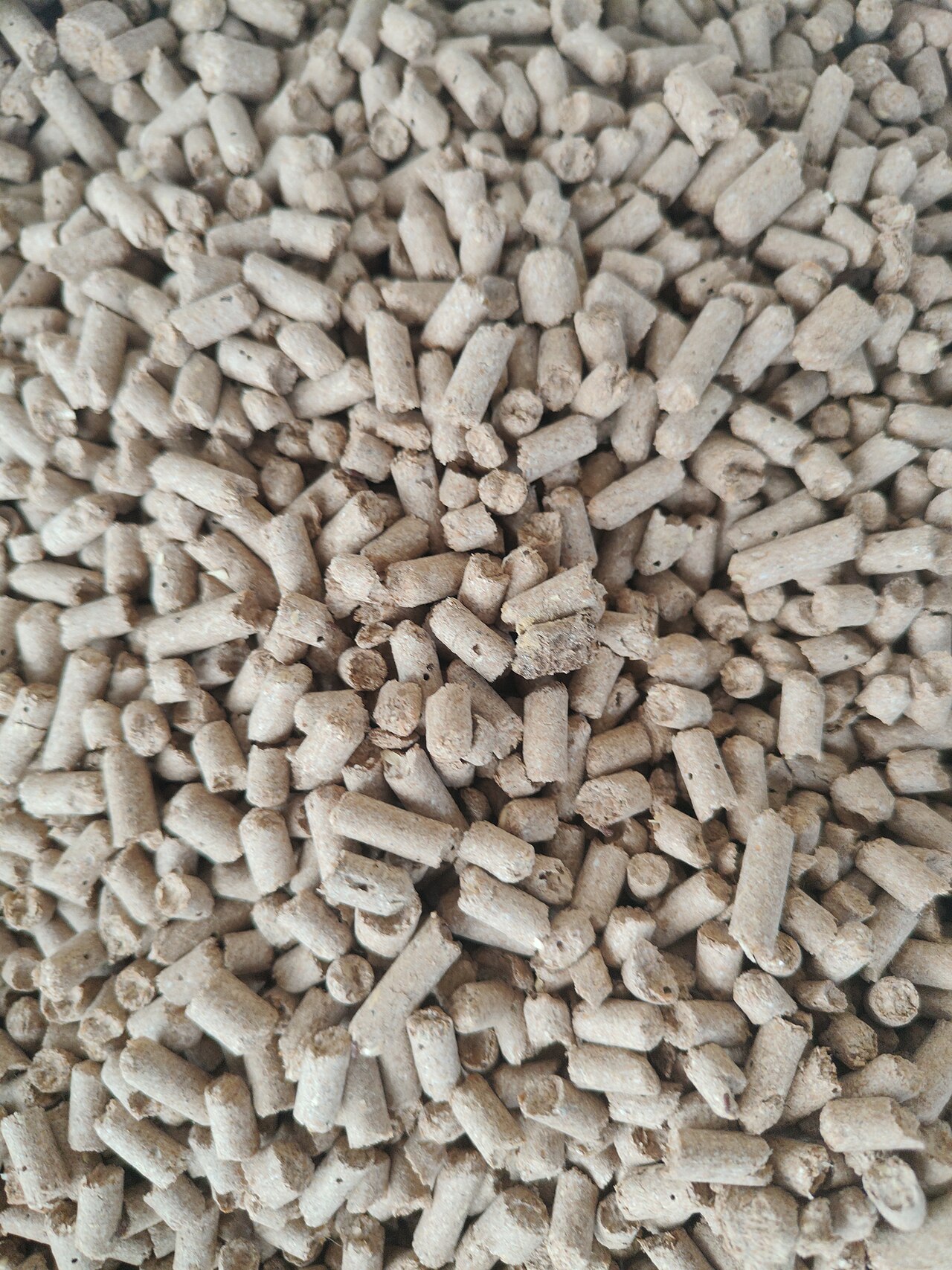 ENplus A1 Premium Wood Pellets Wholesale | Bulk B2B Supply