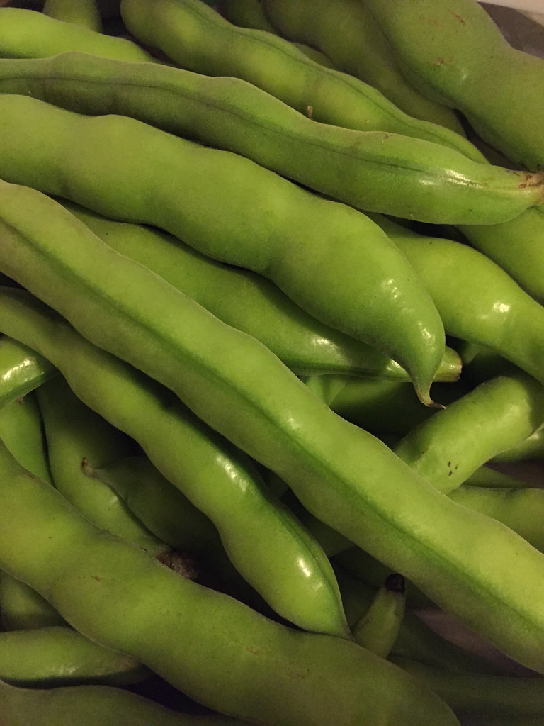 Fava Beans Wholesale wholesale product