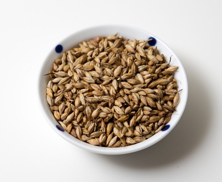Feed Barley Wholesale