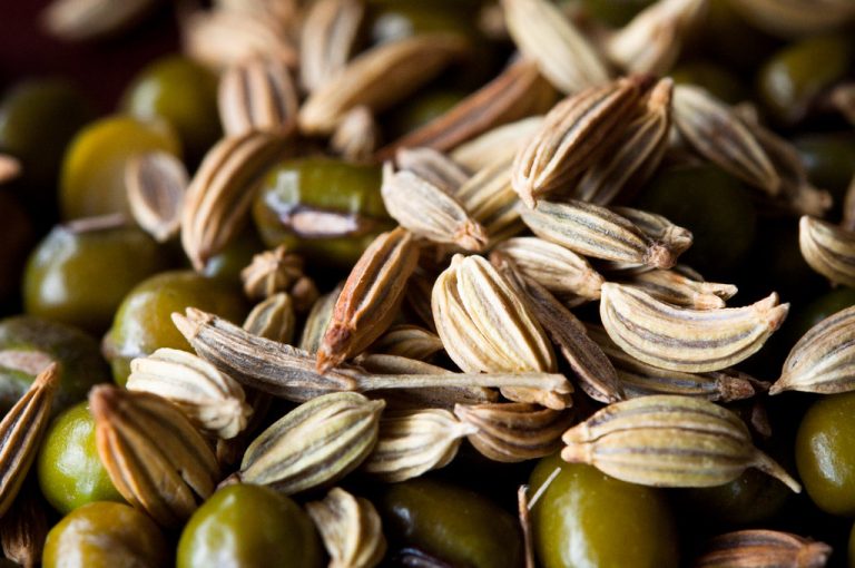 Fennel Seeds Wholesale | Bulk B2B Supply