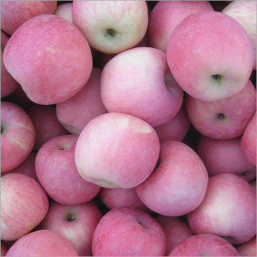 Fresh Apples Wholesale