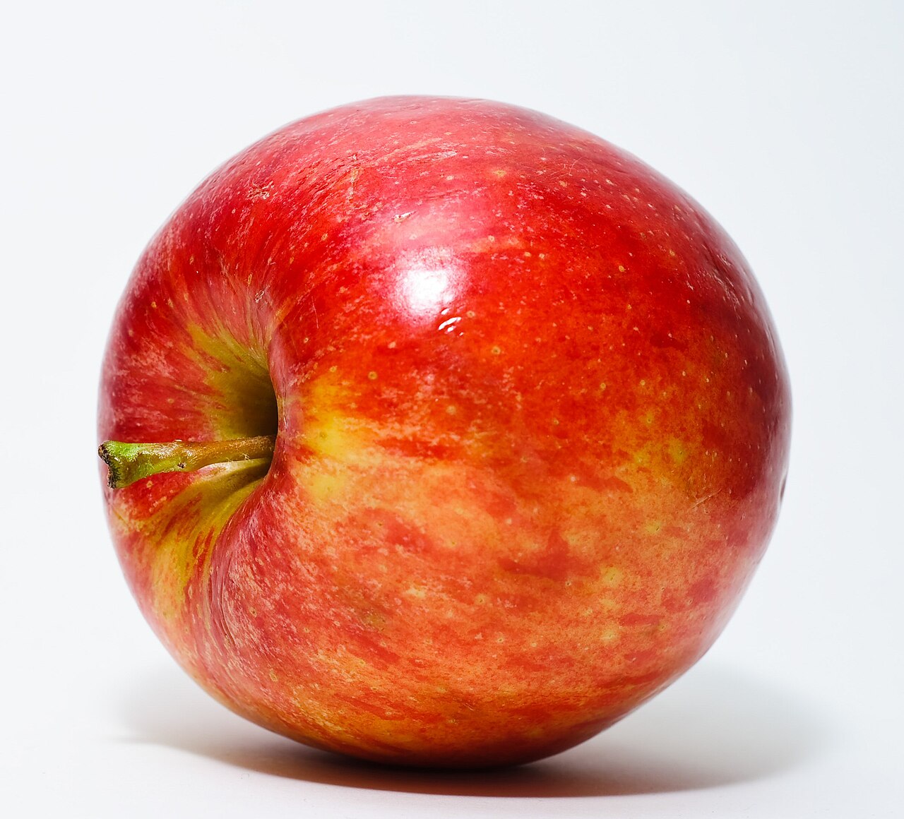 Fresh Apples Wholesale