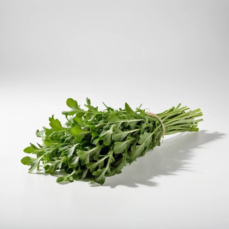 Fresh Arugula (Rocket) Wholesale