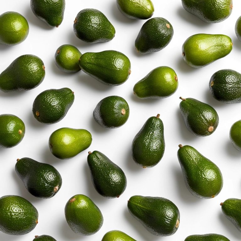 Fresh Avocados Wholesale