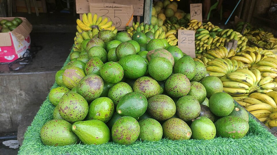 Fresh Avocados Wholesale