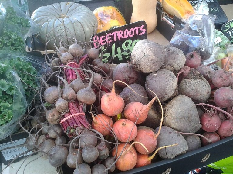 Fresh Beetroot Wholesale