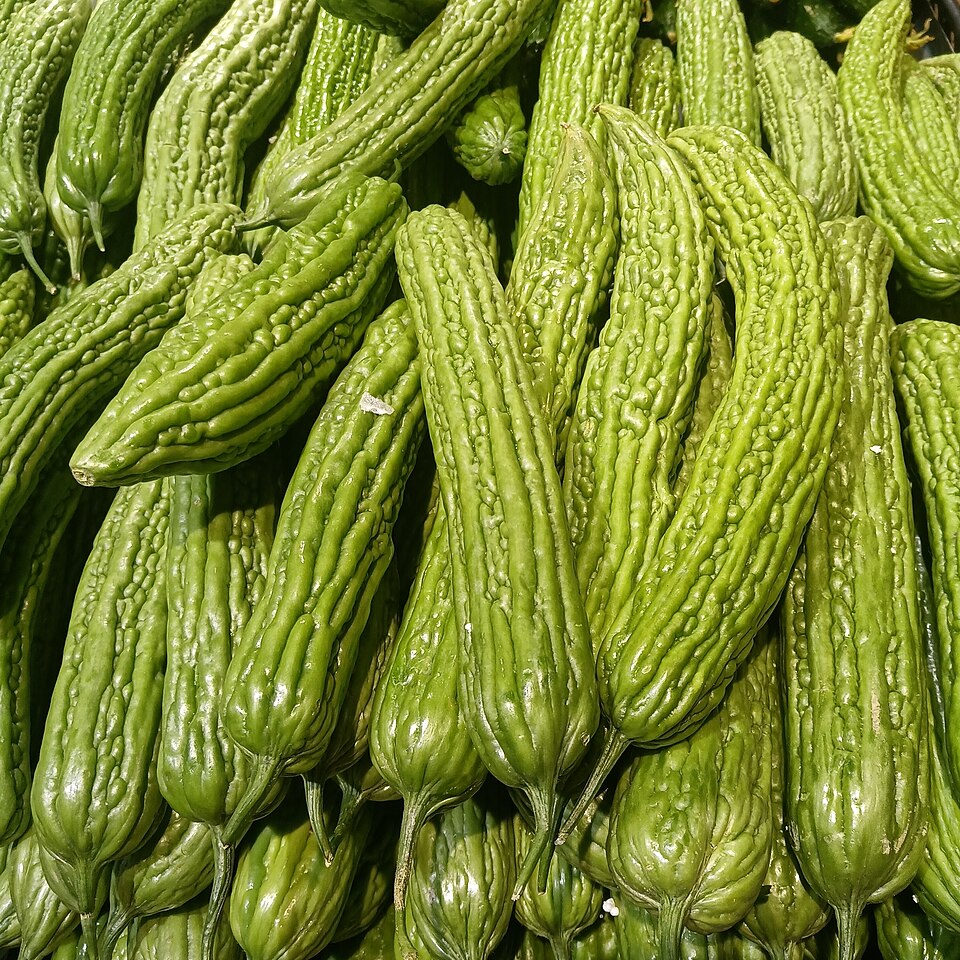 Fresh Bitter Melon