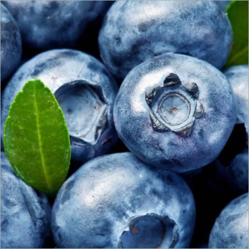 Fresh Blueberries Wholesale