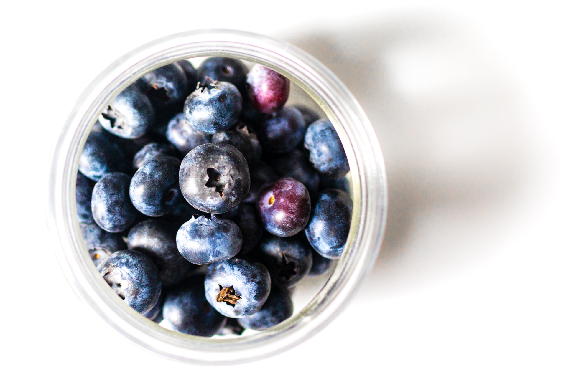 Fresh Blueberries