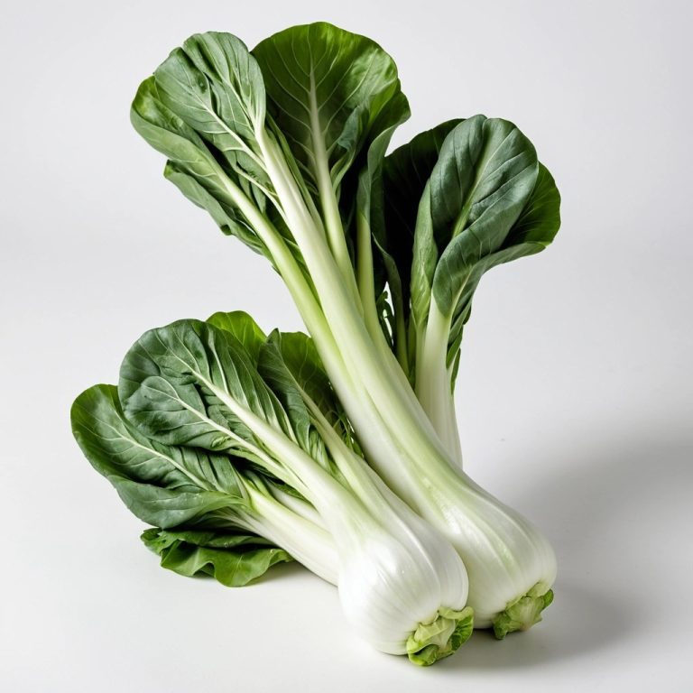 Fresh Bok Choy Wholesale