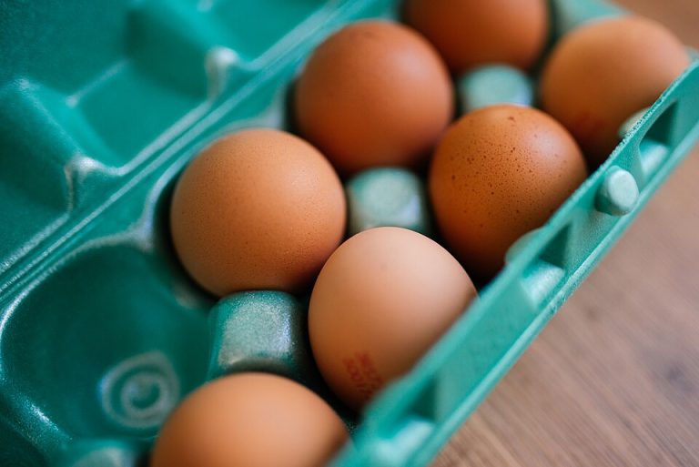Fresh Brown Eggs Wholesale