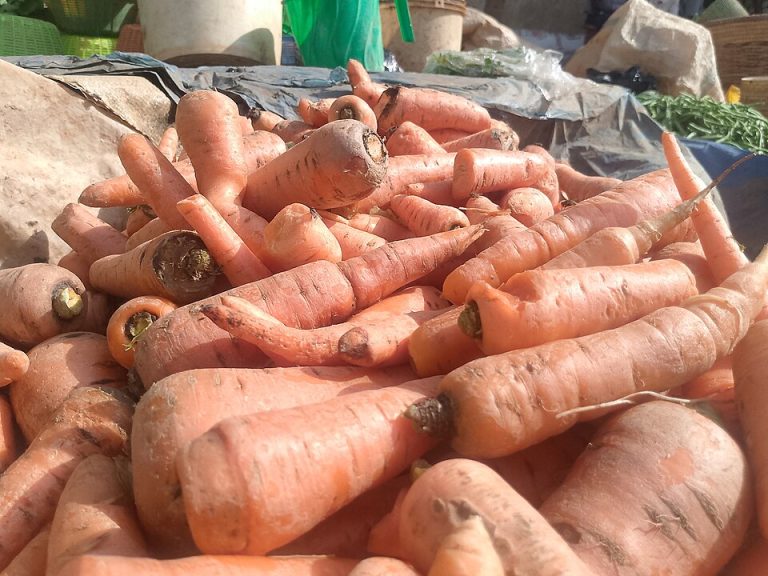 Fresh Carrots Wholesale