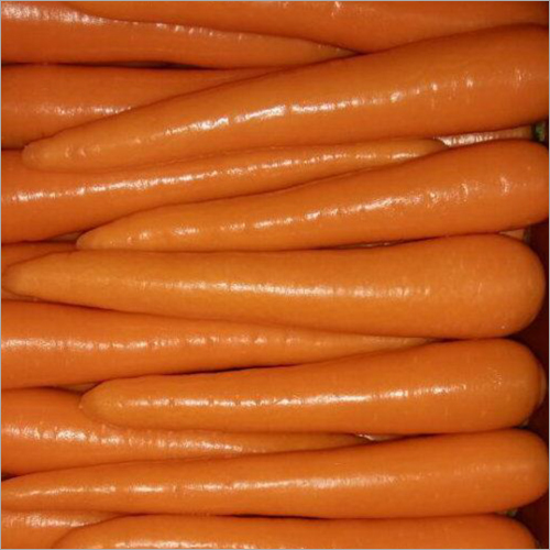Fresh Carrots Wholesale
