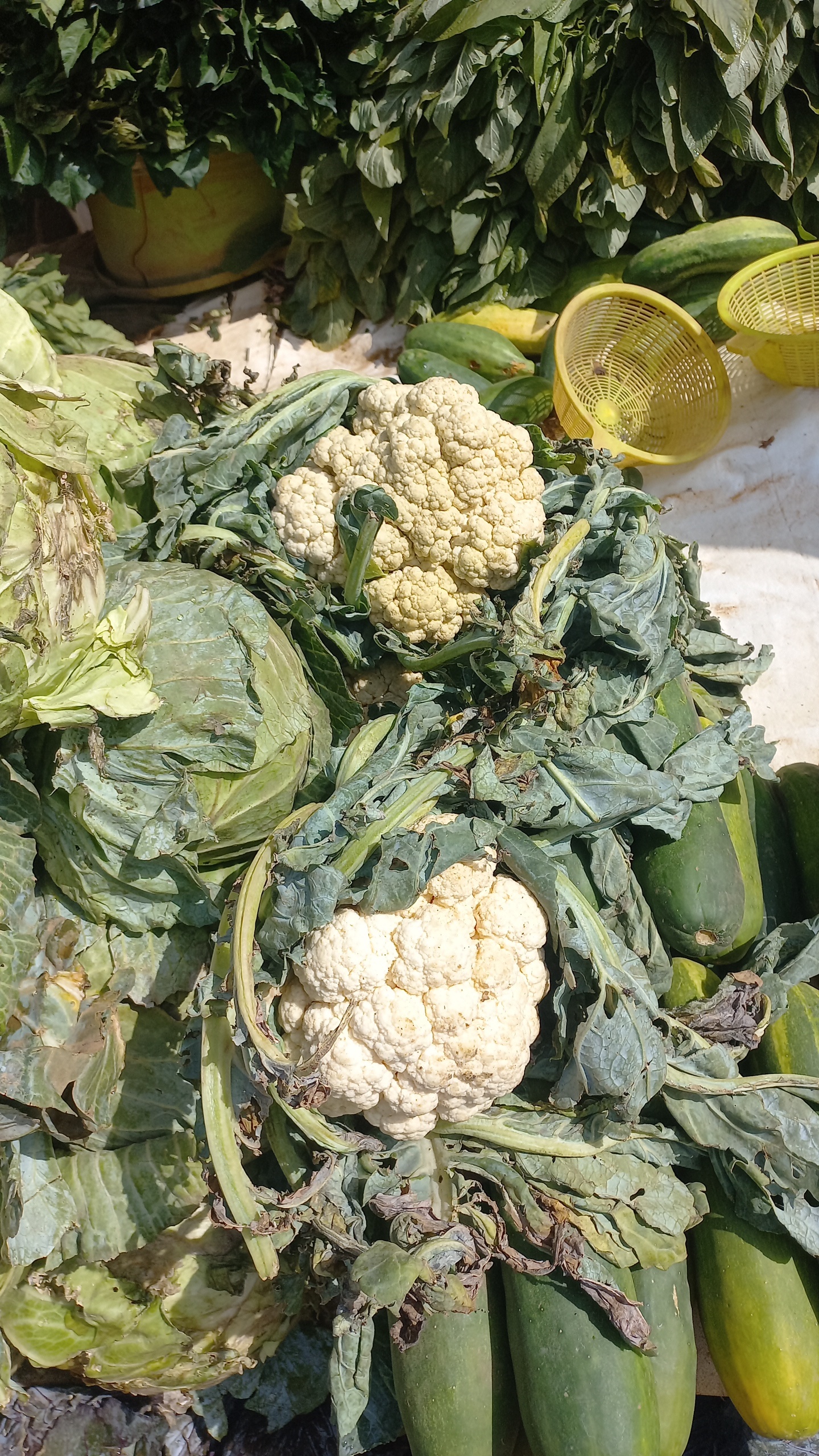 Fresh Cauliflower