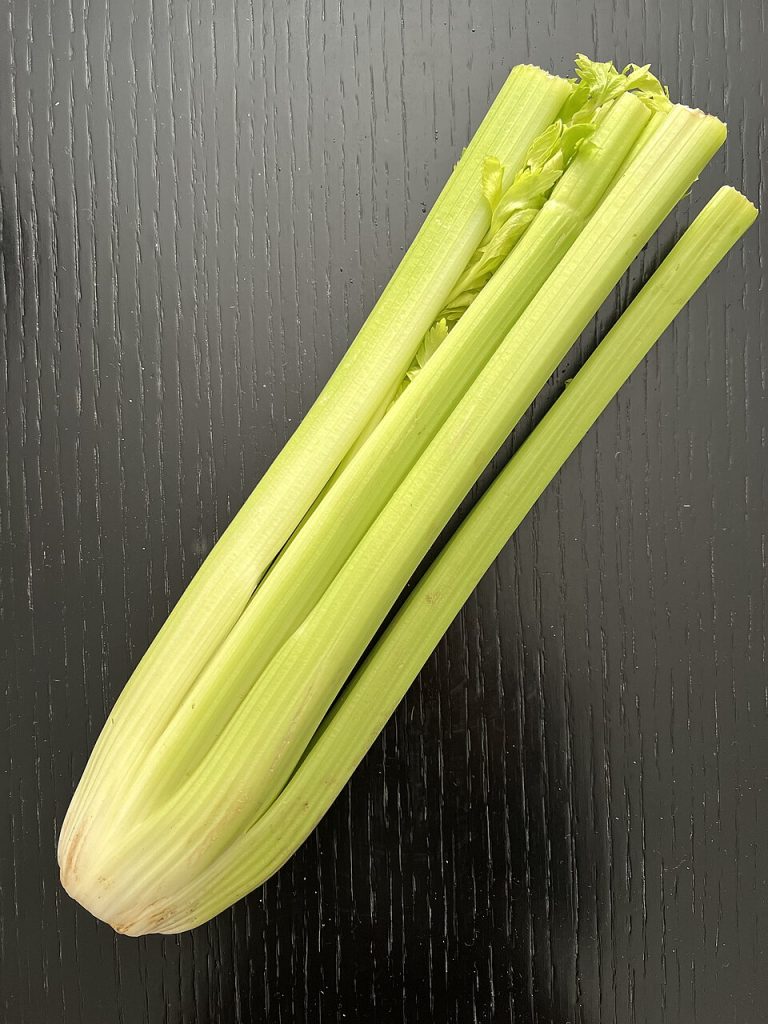 Fresh Celery Wholesale