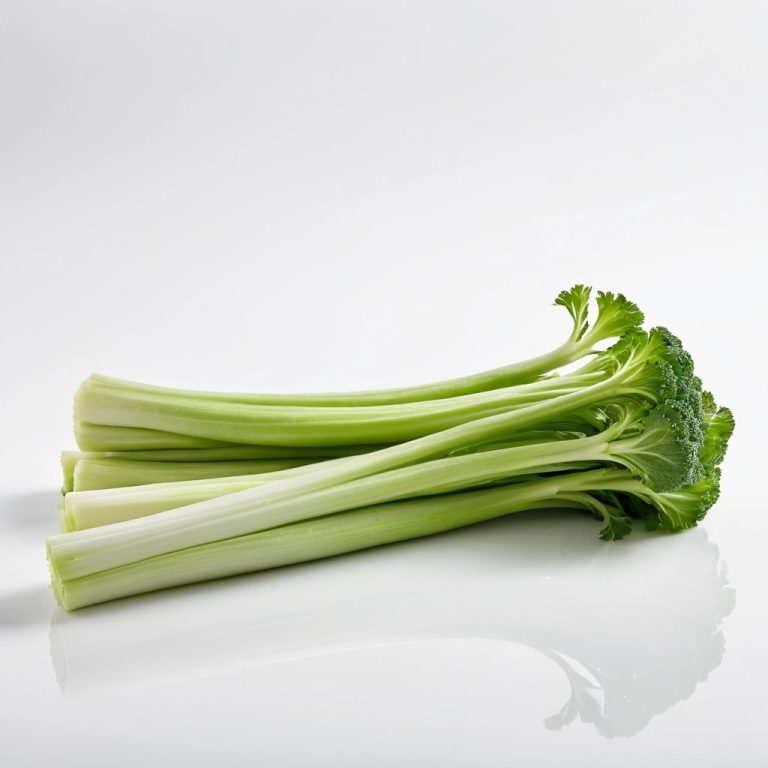 Fresh Celery Wholesale
