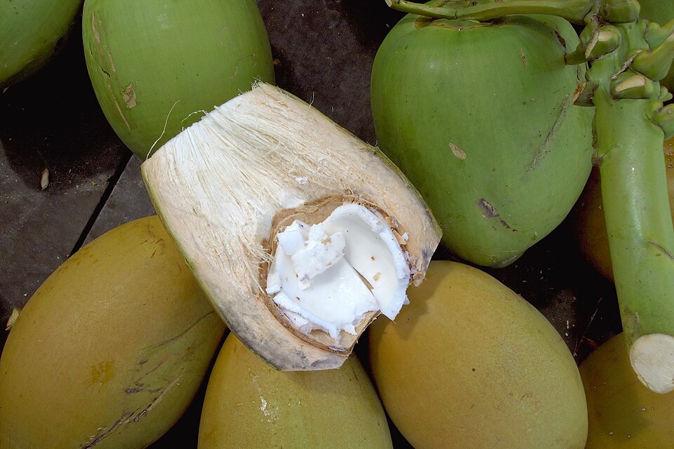 Fresh Coconuts