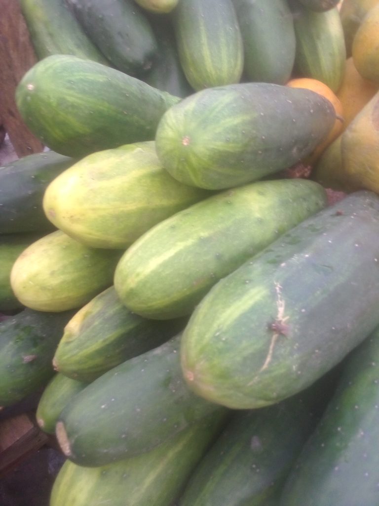 Fresh Cucumbers Wholesale